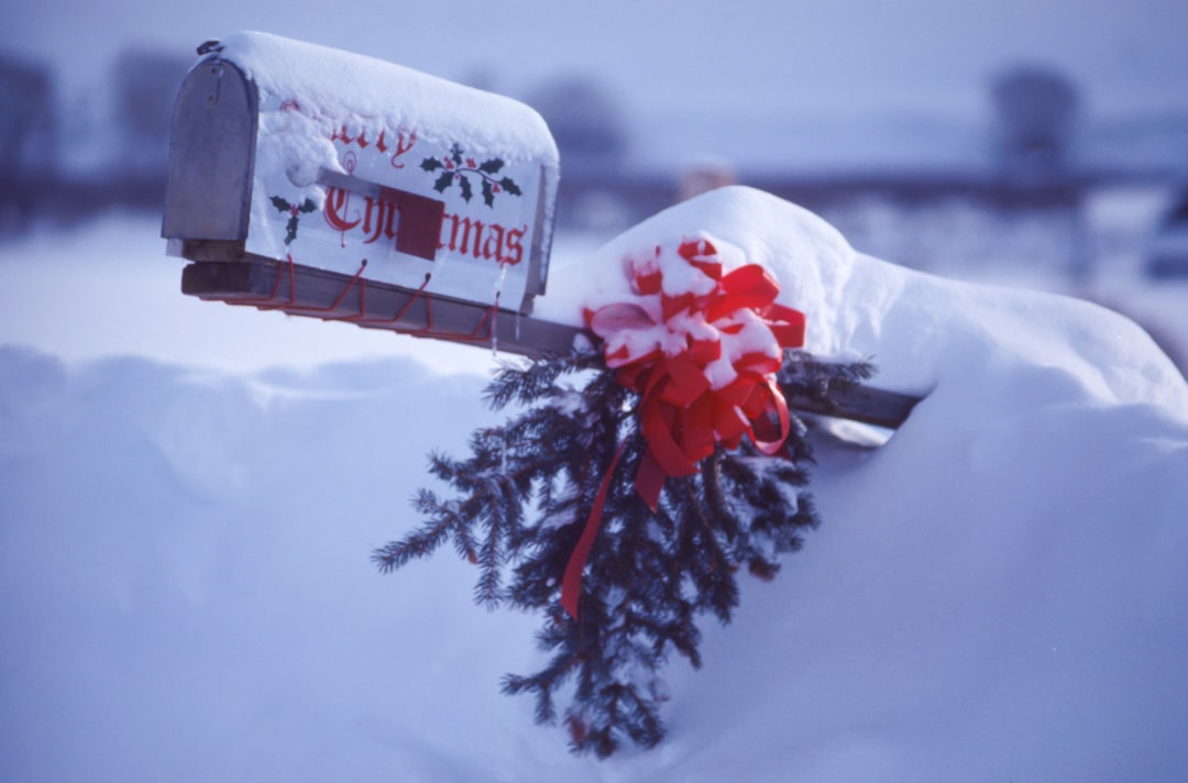Vacanze di Natale con Vino